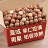 Hawaiian Macadamia Nuts Original Milk Flavor Whole Box Packed Macadamia Nuts Bulk Snacks Dried Fruits New Year Goods Manufacturer Wholesale