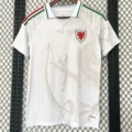 2026 wales away game