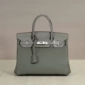 Trench Grey Crocodile-Pattern 30CM Silver Hardware