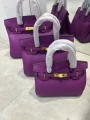 Gold buckle anemone purple