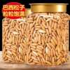 Brazilian Pine Nuts 2024 New Arrival Special Grade Extra Large Hand Peeled Pine Nuts Snacks for Pregnant Women Nuts Northeast