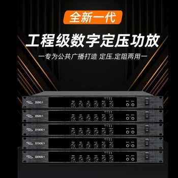 Amplifier 2025 Broadcast Amplifier Constant Voltage Constant Resistance School Supermarket Shop Park Long-Distance 250W Digital 300W