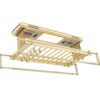 Dege Li Double Bracket Mother and Baby Electric Clothes Drying Rack Remote Control Thickened Bracket Clothes Drying Rack