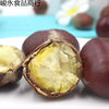 Fresh Chestnuts 2.5kg Fresh Farm Freshly Picked Raw Chestnuts Hairy Chestnuts Oil Chestnuts Non Qianxi Chestnuts