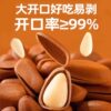 Pine Nuts from Northeast China 500g, Nuts and Dried Fruits, Bulk Snacks, Specialty Grade, Large Kernels, Roasted Goods for Wholesale