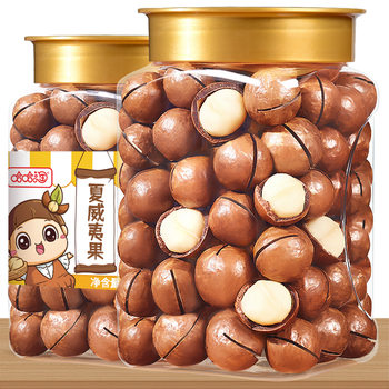 Macadamia Nut Creamy Dried Nuts for Pregnant Women 500g Canned Snacks Roasted Seeds and Nuts New Arrival Whole Box Wholesale