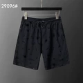 29096 black