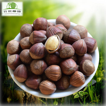 Baishi Zhen love Northeast specialty new goods fried goods large size not open 500g wholesale flat European big hazelnut hazelnut nuts