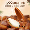 Wholesale of Whole Boxes of Northeastern Large Pine Nuts with Open Shells, Extra Large Kernels, Bulk Nuts, Snacks