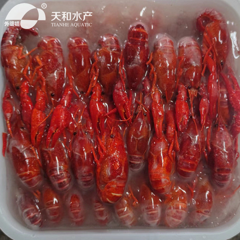 Tianhe Aquatic Products Frozen Freshwater Crayfish 10Kg/Box Raw Materials Wholesale Factory Direct Sales