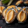 Frozen Shelled Abalone, Shelled Abalone Meat, Washed, Catering Seafood and Aquatic Products, 8 Pieces, Multiple Specifications, Extra Large Banquet Food