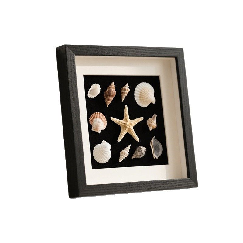 Handmade DIY Photo Frame Stereo Hollow Specimen Table Decoration Frame Shell Stone Plant Dried Flower Preservation Display Frame