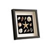 Handmade DIY Photo Frame Stereo Hollow Specimen Table Decoration Frame Shell Stone Plant Dried Flower Preservation Display Frame