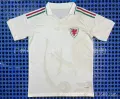 2026 wales away game