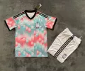 26-27 belgium away game