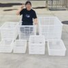 White Plastic Thickened Turnover Rectangular Large Clothing Basket Vegetable and Fruit Storage Basket Storage Basket