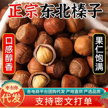 Northeast Wild Hazelnut New Bags Original Thin Skin Pregnant Women Nut Snacks Wholesale Price Tieling Specialty Hazelnut