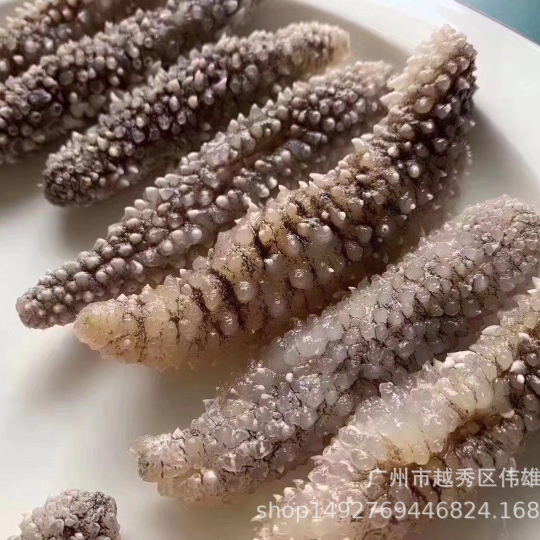 [Selected Indonesian Small Sea Cucumber] Directly Sold from the Source of Indonesian Small Sea Cucumber Indonesian Black Sea Cucumber Light Dried Sea Cucumber Dry Goods