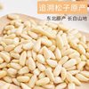 Northeast Bulk Shellless Original New-born Pine Nut Red Pine Nut Snack Commercial Moon Cake Material Wholesale