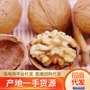 Xinjiang roasted walnut wholesale 500g thin peel raw walnut hand-peeled nut snack herbal flavor fried walnut