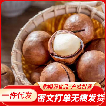 Creamy Macadamia Nuts with Thin Skin, Large Nuts 500g, Nut Snacks, Roasted Seeds, Summer Nuts, Walnuts, Macadamia Nuts