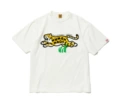 T2587 white