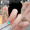 Dynamic Crushed Diamond Cat's Eye Nail Polish Glue 2025 New Flash Cat's Eye Set Full Set for Nail Salons