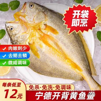 Open-Back Yellow Croaker 400g Ningde-Produced Yellow Croaker Fresh Frozen No-Killing Pickled Big Yellow Croaker Semi-Finished Product for Commercial Use