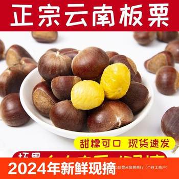 Fresh Chestnuts from Yunnan, Freshly Picked and Shipped Directly from the Farm, Seasonal Oil Chestnuts, Hairy Chestnuts, Fresh Wild Chestnuts