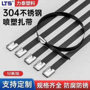 304 Stainless Steel Spray Plastic Tie Self-Locking Black Metal Tie Marine Tie Outdoor Spray Plastic Stainless Steel Tie