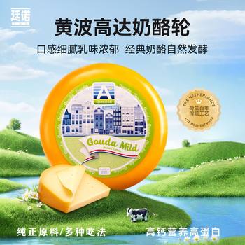 Tinno Yellow Wave Cheese Whole Wheel Imported from the Netherlands High Calcium and High Nutrition Baked Household Gouda Original Cheese