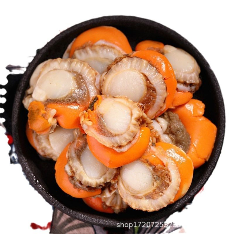 Extra Large Scallop Meat Without Ice Coat Fresh Frozen Scallops Without Ice Coat Shellfish Seafood Seafood Aquatic Products Commercial Wholesale
