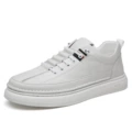 GX2036 White