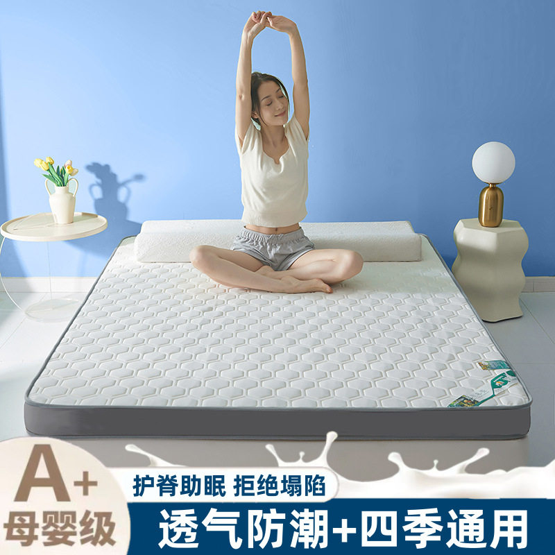 Thickened Latex Mattress Household Summer Foldable Cool Silk Student Dormitory Single and Double Mattress Floor Mat