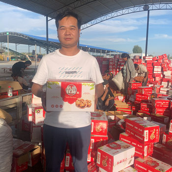 5 jin per box bulk 185 paper walnut Xinjiang Aksu direct delivery free shipping origin anchor docking crispy