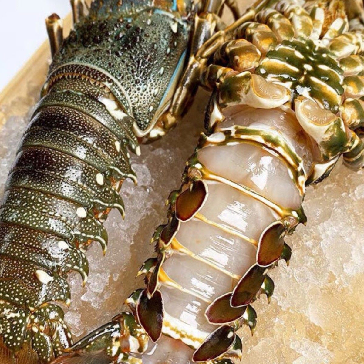 Live Frozen Small Green Dragon Lobster, Fresh Large Lobster, Australian Lobster, Chilled Seafood, Frozen Cuban Prawns, Sf Express