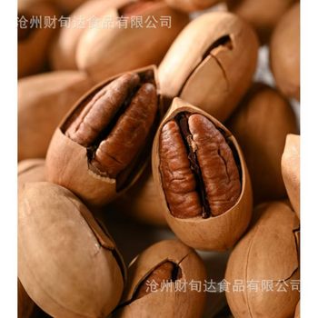 New Arrival Pecan Cream Flavor 500g Bagged Milk Flavored Nut Snacks Wholesale Thin-Skinned Longevity Fruit Pecans