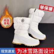 Winter New Model Northeast Outdoor Cross-Border Trade Thickened Snow Cotton Mid-Calf Non-Slip Warm Wear-Resistant Couple Snow Bo