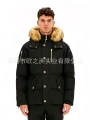 gold-logo(gold fur)