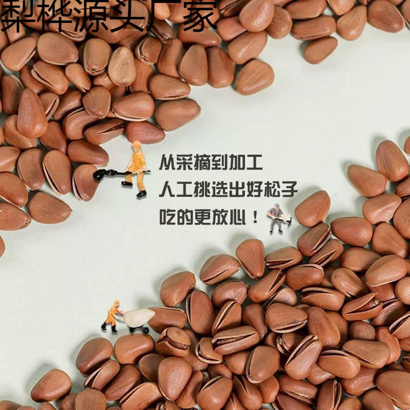 2024 New Northeastern Pine Nuts, Nuts, Dried Fruits, Bulk Snacks, Specialty Grade Large Particles, Wholesale Roasted Seeds