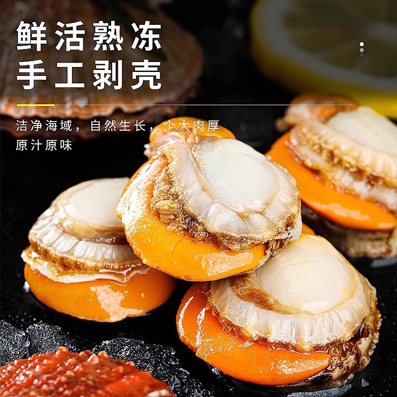 Fresh Vacuum-Packed Scallop Meat with Dry Ice, Large Fresh Yellow Scallops, Fresh Yellow Clams, Large Frozen Seafood Wholesale