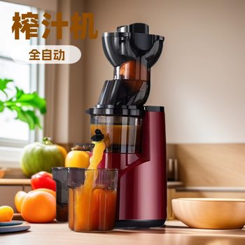 Cross-Border New Juicer, Slow Cold-Press Juicer, Fully Automatic Juicer, Fully Automatic Fresh Juice Machine