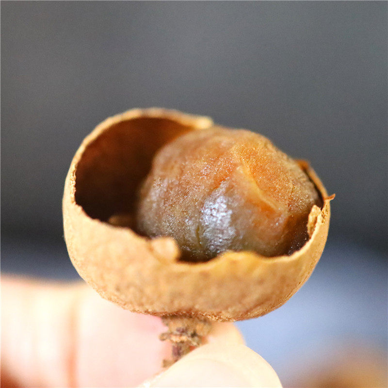 2025 New Crop Large Fruit Gaozhou Chu Liang Longan Dried Fruit One Pound 500 Grams Bulk Wholesale with Shell Special Grade Dried Longan