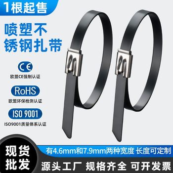 304 plastic-sprayed stainless steel cable tie 4.6*300 black metal cable tie bridge sign cable tie wire cable tie