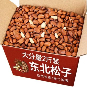 Northeast Original Large-Capacity Pine Nuts New Arrival 500g Bulk Hand-Peeled Red Pine New Year Snacks Nuts Large Opening