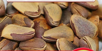 Wild Red Pine Nuts, Northeast Original Flavor, Non-Fried, Hand-Peeled, Extra Large, Non-Special Grade Particles, 500g Bulk, 0.5kg Packs