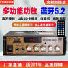 Mini Small Power Amplifier Speaker Power Amplification Card U Disk Radio Dc Car (12V 220V) Power Amplifier