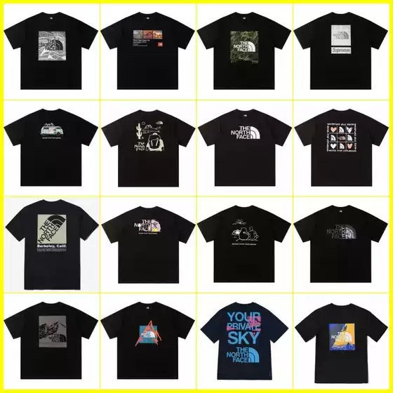 Correct Version of Nt North Face 230g Pure Cotton T-Shirt for Men and Women, Same Style for Couples, Trendyy Printed, Wide and Versatile, Casual