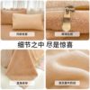Authentic Thickeneded Naked Sleeping Milk Velvet Four-Piece Set Winter Cream Style Baby Velvet Bed Bed Sheets Quilt Cover Coral Velvet Three-Piece Set