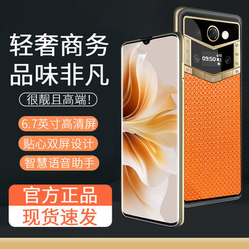 New 6.7inch Flagship Business Smartphone 10-Core Flagship with 256Gb Large Memory and Dual Screens